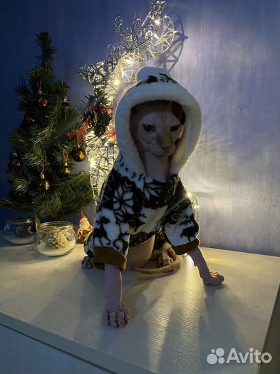 Одежда для животных. Комбинезон для собаки / кота