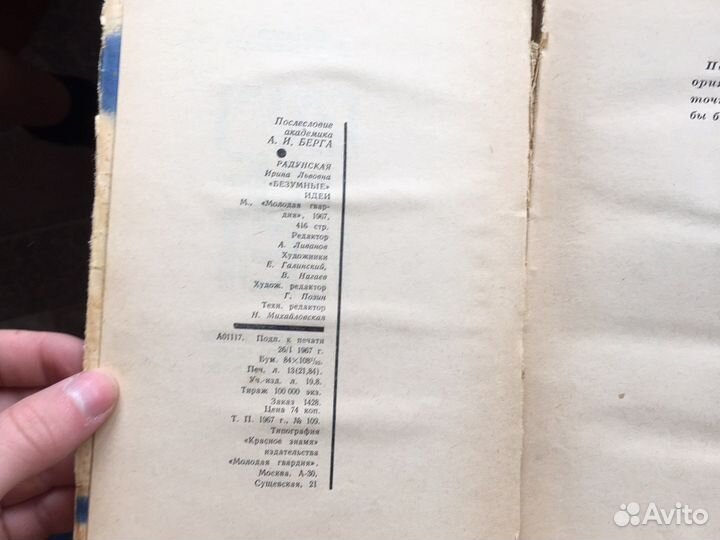 Книга Безумные Идеи Ирина Радунская