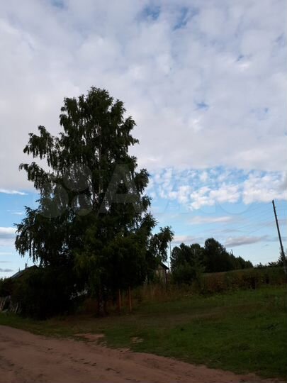 Участок 25 сот. (ИЖС)