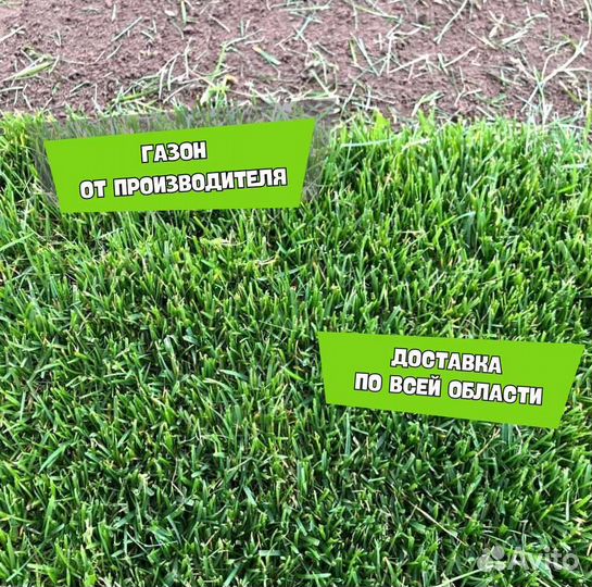 Газон. Рулонный газон