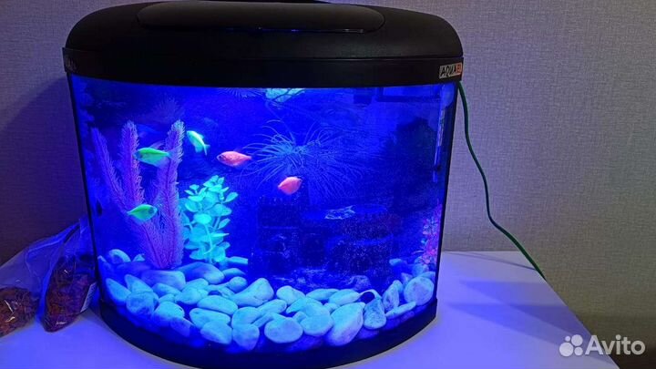 Аквариум