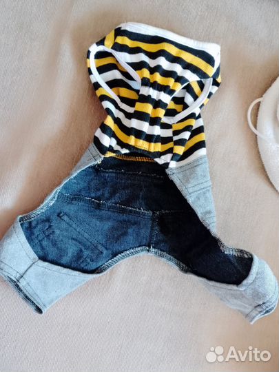 Одежда для кошек и собак