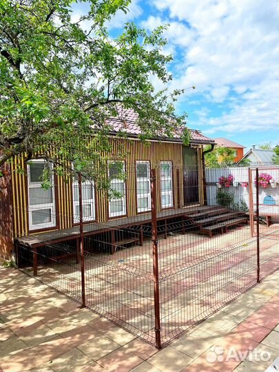 Передержка, зоогостиница