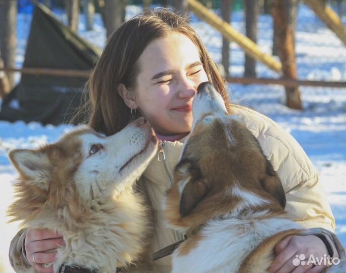 Репетитор по биологии и химии