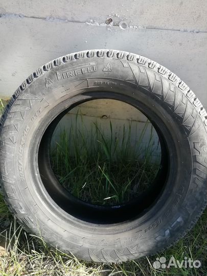 Pirelli Winter Ice Zero 195/65 R15 20L
