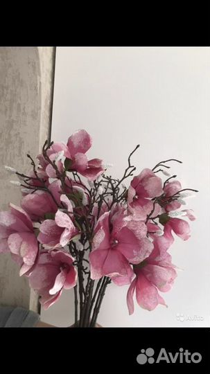 Декоративные цветы