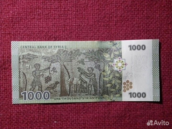 Банкноты Сирия 4 штуки набор 2009год «пресс»