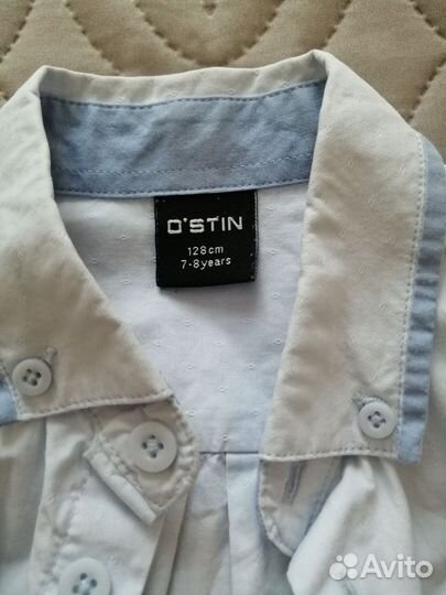 Рубашка светло голубая ostin