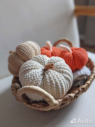 Тыква декоративная набор