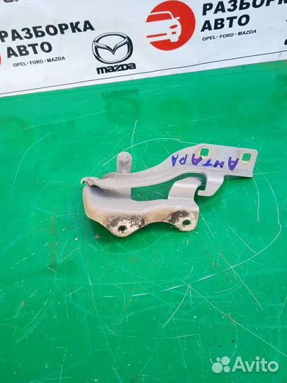 Петля капота Opel Antara