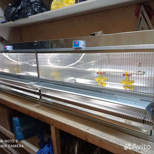 Брудер для цыплят