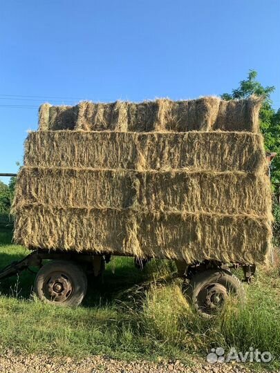 Сено в тюках
