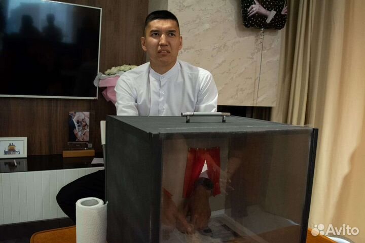 Ведущие/День рождения/Выпускной/Челлендж-пати