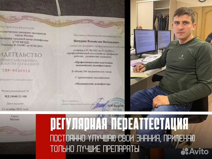 Уничтожение тараканов, уничтожение клопов, дезинсе