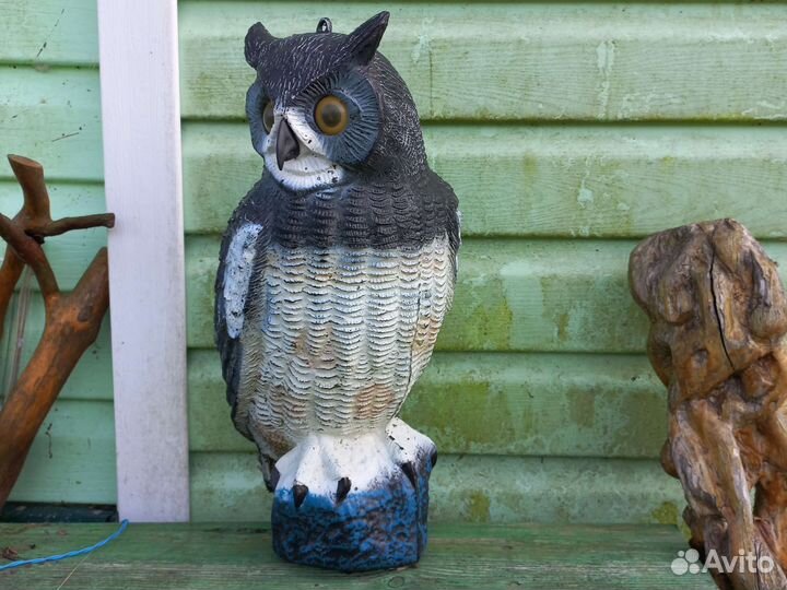 Филин садовый