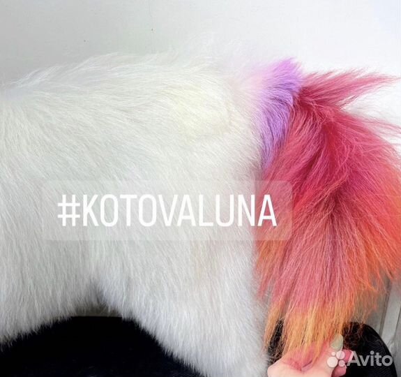 Породный груминг самоедских собак самоеды