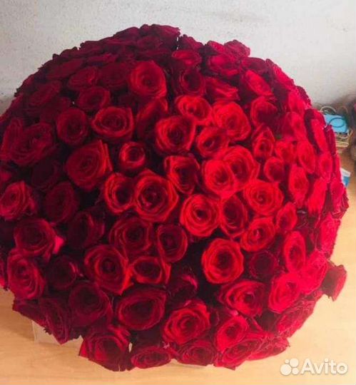Розы Букет цветов 101 роза