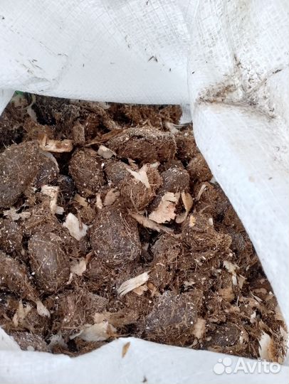 Навоз конский