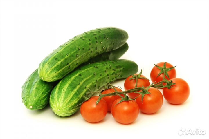 Огурцы и помидоры