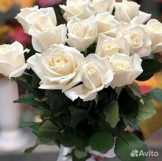 101 Роза Цветы Букеты 51 25 Роз Доставка