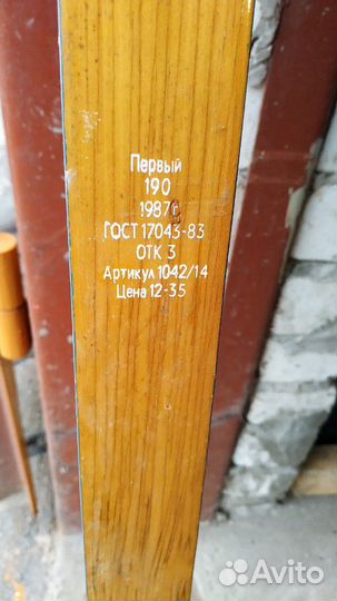 Лыжи Быстрица СССР, 1987