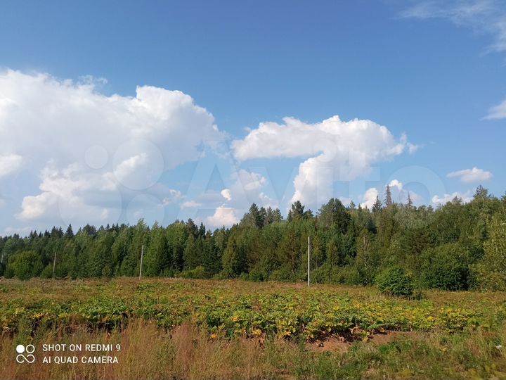 Участок 20 сот. (ИЖС)