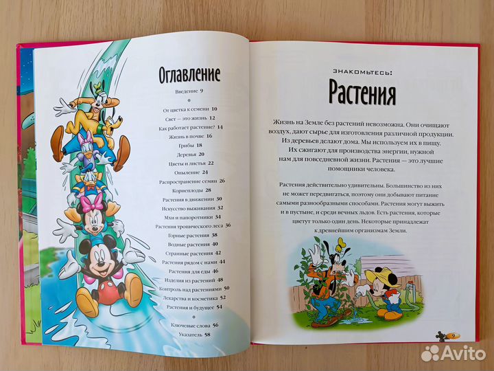 Энциклопедия Disney. Открой мир вокруг себя