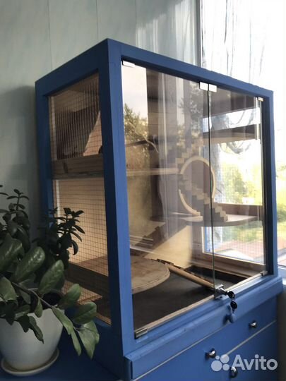 Клетка-витрина