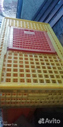 Ящики для перевозки кур