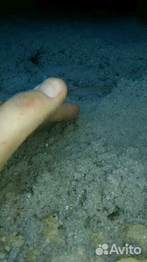 Утепление домов Эковата,Пеноизол,Новопокровская