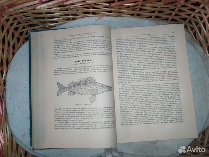 Л. П. Сабанеев. Жизнь и ловля пресноводных рыб