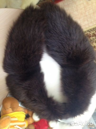 Воротник песец