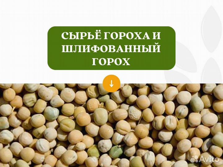 Горох с поля (сырье) (кг)