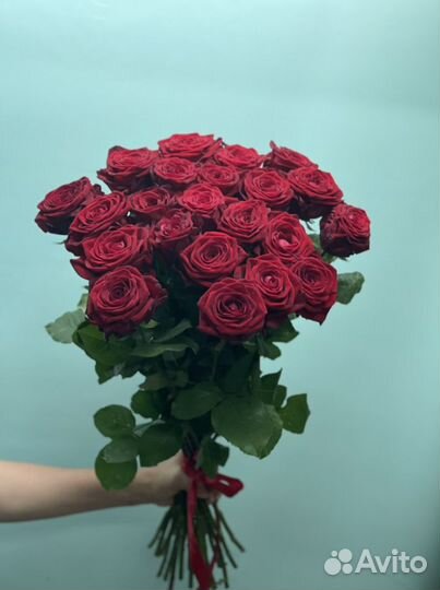 Ромашки цветы розы 101 шт