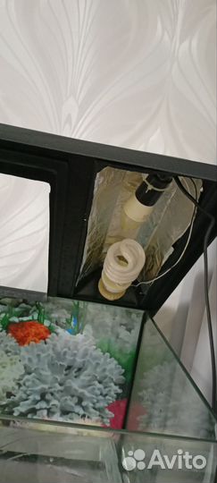 Террариум для черепахи