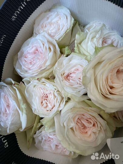 Цветы Розы и многое другое