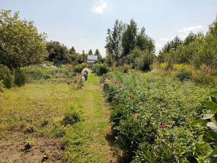 Участок 12 сот. (СНТ, ДНП)