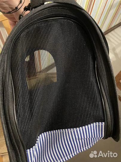 Сумка переноска для животных новая