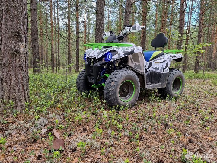 Квадроцикл promax forest hunter 300