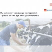 Животноводческое агентство в городе, Гомель