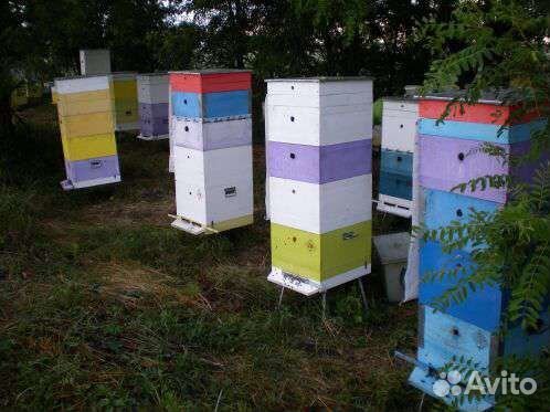 Улики для пчел бу