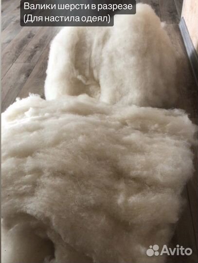 Шерсть овечья