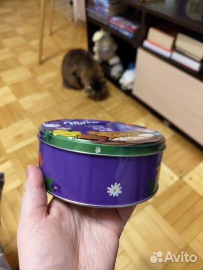 Металлическая коробка от печенья