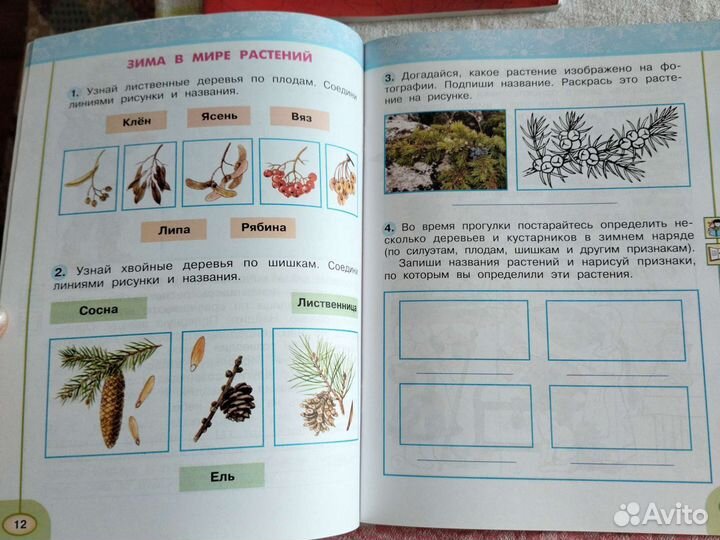 Рабочая тетрадь 2 класс. Окружающий мир