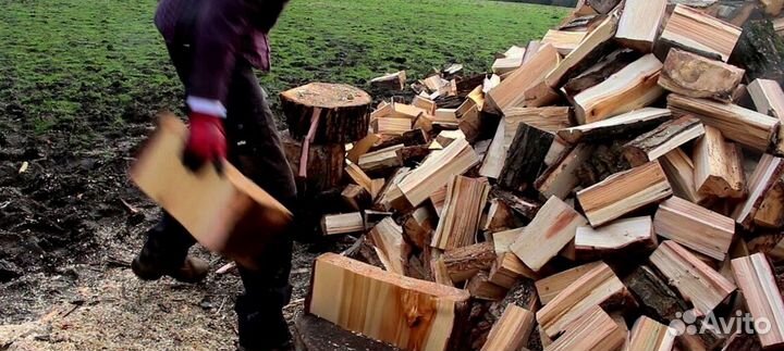 Дрова с Приозерска