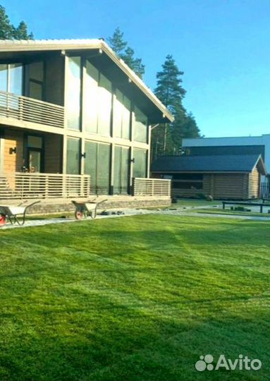 Рулонный газон 