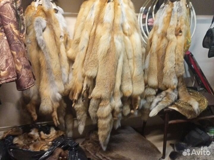 Шкуры лисы