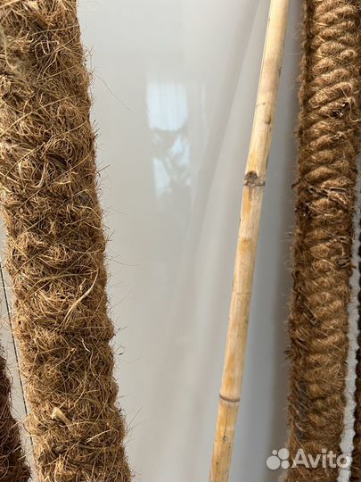 Шпалера (опора для цветов)