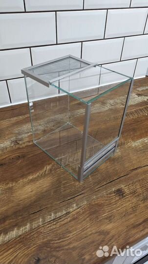 Террариум, паучатники и оформление