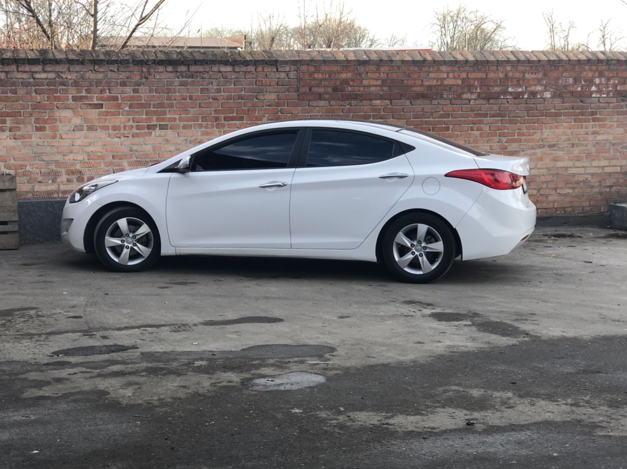 Hyundai Avante: фото владельца